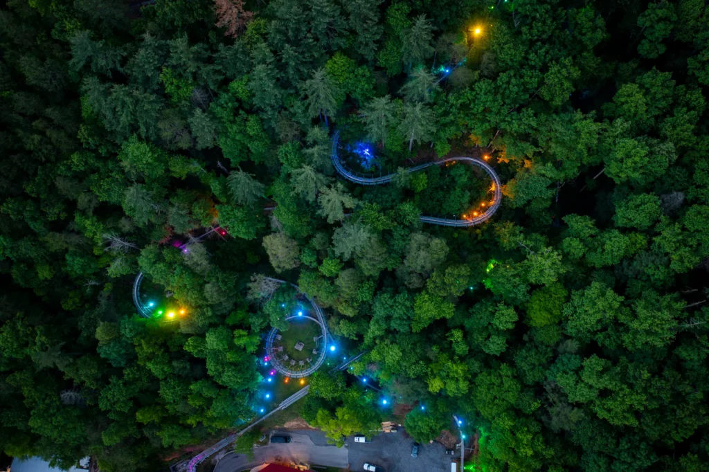 Night rides on this Gatlinburg mountain coaster.