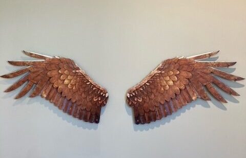 Wings at American Eagle Foundation in Kodak, TN